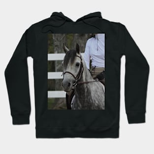 Horse show Hoodie